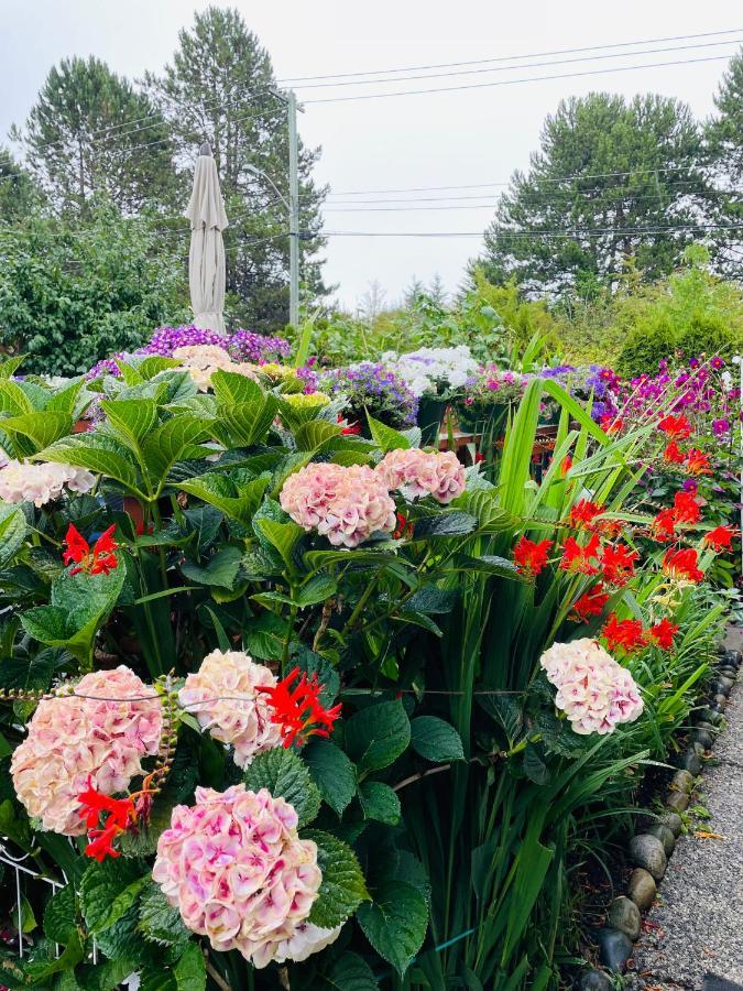 Garden Home In Victoria -Beautiful Home In Victoria Exteriör bild