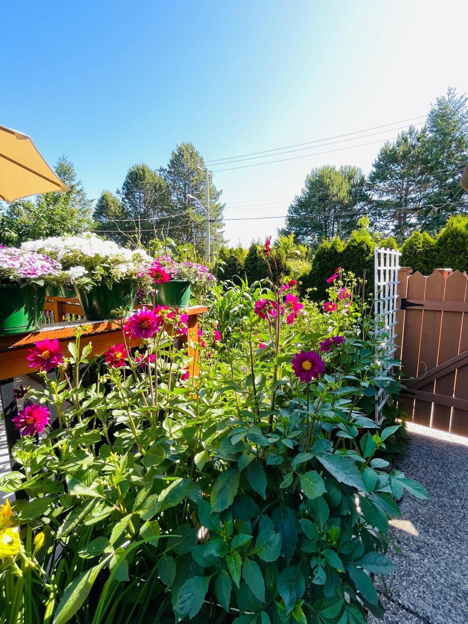 Garden Home In Victoria -Beautiful Home In Victoria Exteriör bild